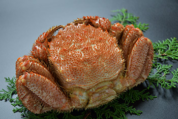 北のうまいもん加藤商店＜函館＞ | [カタログ掲載] 北海道産 ボイル