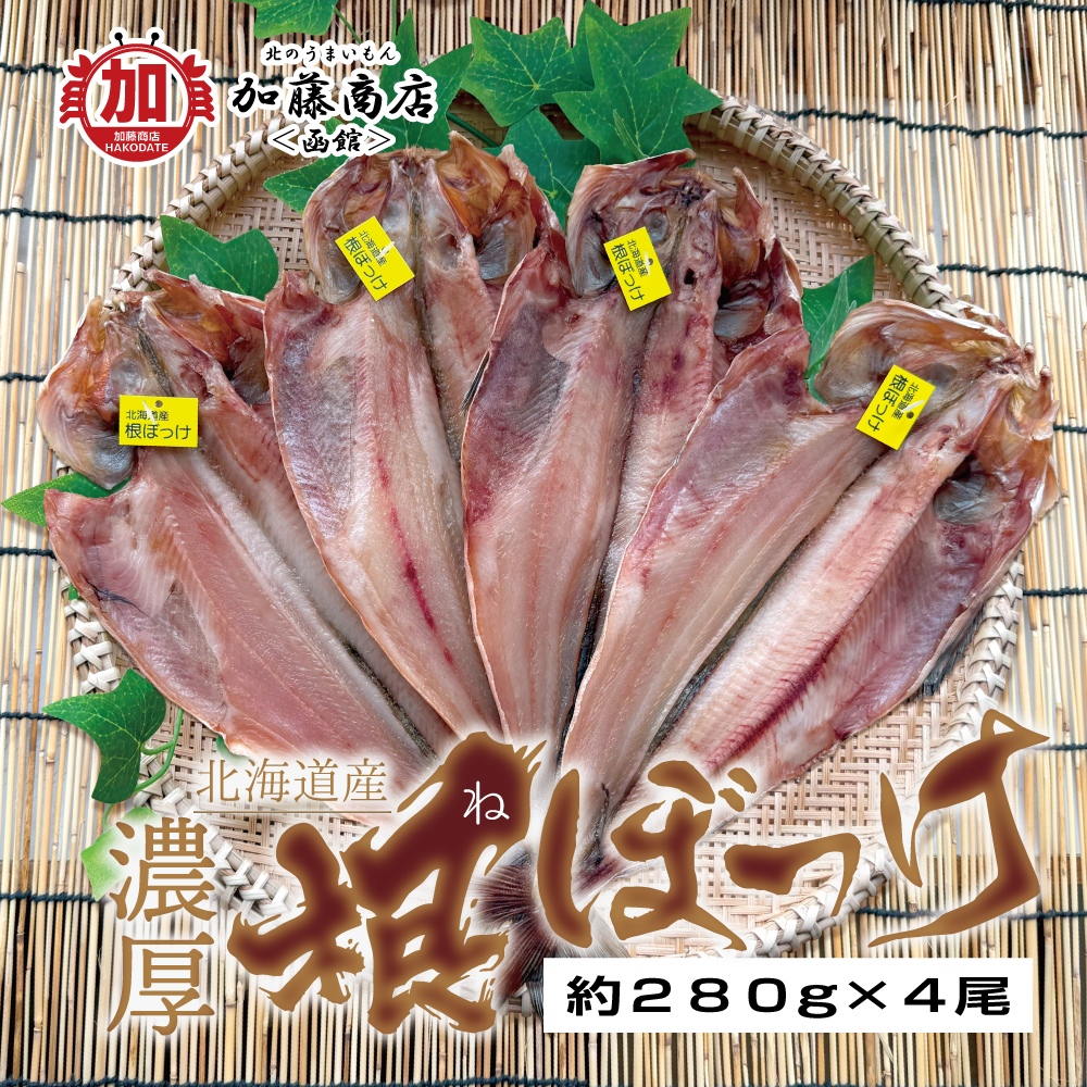 はとぽっぽ6個セット ケンコーボッチャセット（BOCSET） 1セット｜ナガセケンコー【公式