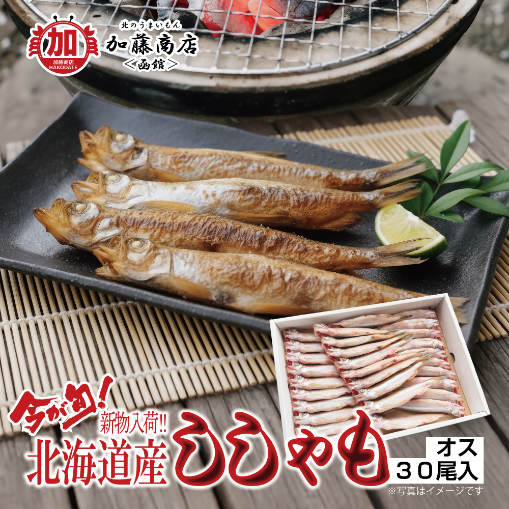 北のうまいもん加藤商店＜函館＞ | 北海道産 ししゃも オス 30尾入